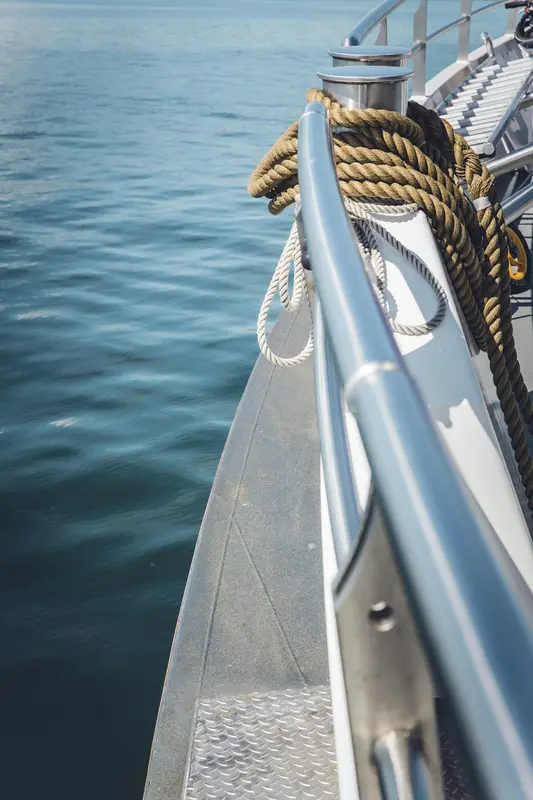 Sportfishing.Boats Premium Domain